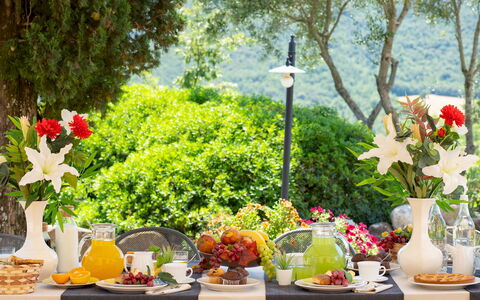 Terripi 10: Vaisselle, Vert, Table, Meubles, Aliments, Fruit, Nappe De Table, Drinkware, Serveware