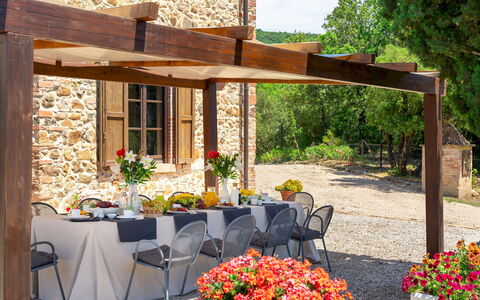 Terripi 10: Ombre, Meubles, Jardin, Pot De Fleur, Structure En Plein Air, Tableau De Plein Air, Patio, Mobilier De Jardin, Pergola, Store