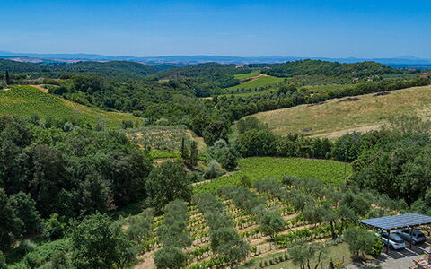 Villa Santa Maria 14: Végétation, Paysage Naturel, Paysage, Zone Rurale, Plantation, Montagnes, Lot Terre, Agriculture, Communauté Des Plantes, Champ