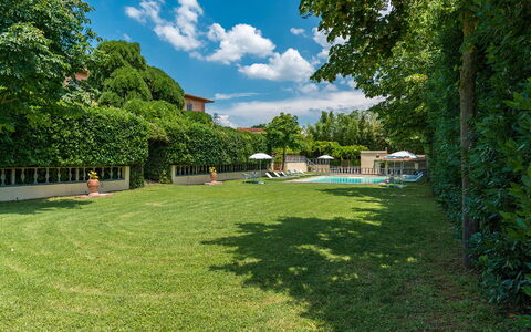 Villa delle Sophore 12: Piscine, Arbuste, Jardin, Pelouse, Ombre, Biens, Aménagement Paysager, Cour, Arrière-Cour, Haie