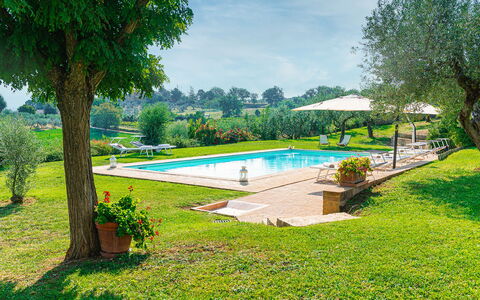 Villa di Morice 14: Piscine, Jardin, Recours, Pelouse, Biens, Hacienda, Eco Hôtel, Aménagement Paysager, Ombre, Arrière-Cour