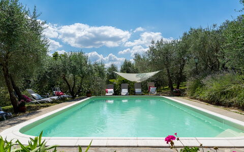 Villa Fiorentini 10: Piscine, Mobilier De Jardin, Jardin, Arrière-Cour, Chaise, Cour, Aménagement Paysager, Recours, Ombre, Hacienda