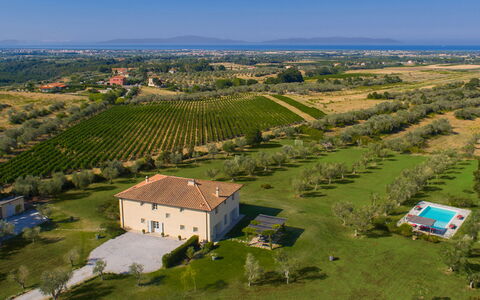 Villa Il Meluccio 12: Herbe, Plaine, Paysage, Prairie, Zone Rurale, Lot Terre, Champ, Plantation, Biens, Prairie