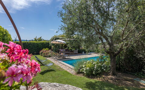La Capannina 2+2: Bleu, Arbuste, Jardin, Aménagement Paysager, Piscine, Ombre, Arrière-Cour, Cour, Biens, Hacienda