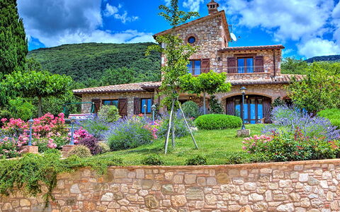 Villa Bella 8: Fleur, Arbuste, Jardin, Maison, Chalet, Ferme, Aménagement Paysager, Biens, Jardin Botanique