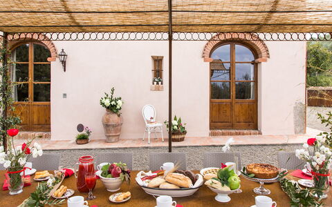 Dimora San Germano 14: Meubles, Table, Pot De Fleur, Chaise, Plante D'Appartement, Restaurant, Table Cuisine Et Salle A Manger, Aliments, Hacienda, Nappe De Table