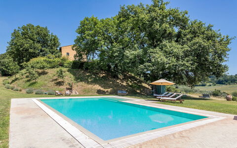Casale Piattini 10: Piscine, Jardin, Biens, Ferme, Aménagement Paysager, Pelouse, Hacienda, Arrière-Cour, Ombre, Cour