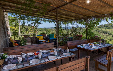 Podere San Ansano 14+2: Meubles, Table, Restaurant, Mobilier De Jardin, Tableau De Plein Air, Chaise, Table Cuisine Et Salle A Manger, Eco Hôtel, Aliments, Ombre