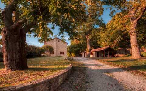 Casale del Castagneto 8: Arbre, Branche, Herbe, Feuille, La Nature, Maison, Chalet, Domicile, Paysage, Toit