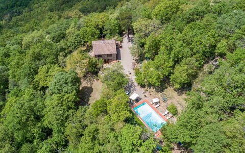 Casa Largnano 6+2: Arbre, Environnement Naturel, La Nature, Végétation, Paysage, Zone Rurale, Maison, Forêt, Communauté Des Plantes, Chalet