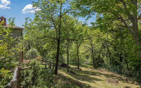 Casa Largnano 6+2: Branche, Arbre, Feuille, La Nature, Végétation, Arbuste, Communauté Des Plantes, Brindille, Printemps, Tronc