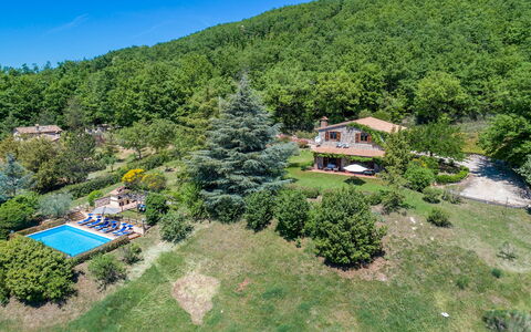 Villa Paola 6: Paysage, Zone Rurale, Biens, Station De Montagne, Forêt, Eco Hôtel, Vue Du Ciel, Jungle, Plantation, Aménagement Paysager