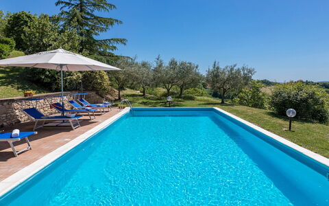 Villa Mila 6: Bleu, Piscine, Jardin, Recours, Biens, Aménagement Paysager, Hacienda, Eco Hôtel, Villa, Mobilier De Jardin