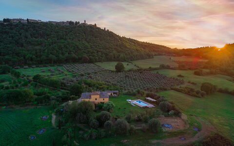 Podere Pratovecchio 14+2: Paysage, Zone Rurale, Prairie, Lot Terre, Établissements Humains, Village, Champ, Plantation, Chalet, Biens
