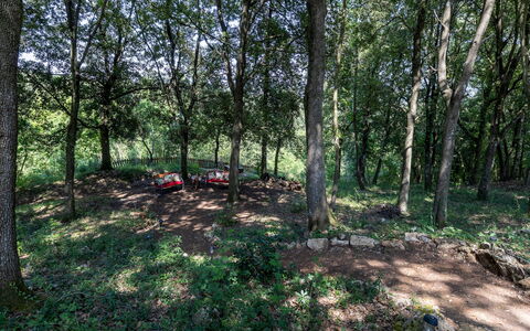 Villa Rinaldi 6: Feuille, Arbre, Environnement Naturel, Bois, Branche, Végétation, Forêt, Bosquet, Des Bois, Communauté Des Plantes