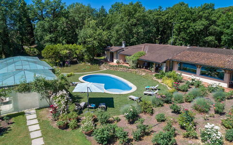 Villa Mimmina 8: Piscine, Jardin, Ombre, Recours, Pelouse, Biens, Loisir, Aménagement Paysager, Arrière-Cour, Eco Hôtel