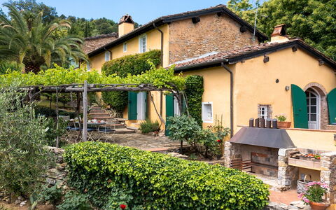 Villa Marraccini 8: Arbuste, Jardin, Chalet, Ombre, Hacienda, Biens, Arrière-Cour, Eco Hôtel, Aménagement Paysager, Cour