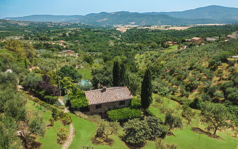 Casa di Pan 6: Arbre, Végétation, Paysage Naturel, Paysage, Colline, Montagnes, Zone Rurale, Arbuste, Prairie, Communauté Des Plantes
