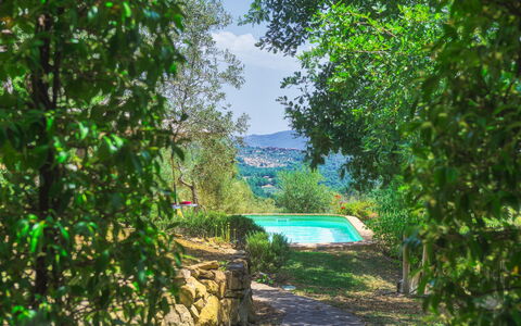 Casa di Pan 6: Arbuste, Jardin, Aménagement Paysager, Arrière-Cour, Piscine, Jardin Botanique
