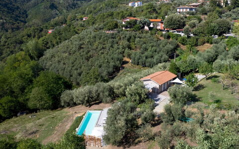 Villa Cristina 3: Arbre, Paysage, Maison, Zone Rurale, Station De Montagne, Chalet, Biens, Pente, Village, Eco Hôtel