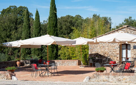 Borgo Gallinaio 32: Ombre, Mobilier De Jardin, Parapluie, Jardin, Tableau De Plein Air, Chaise, Aménagement Paysager, Structure En Plein Air, Cour, Pot De Fleur