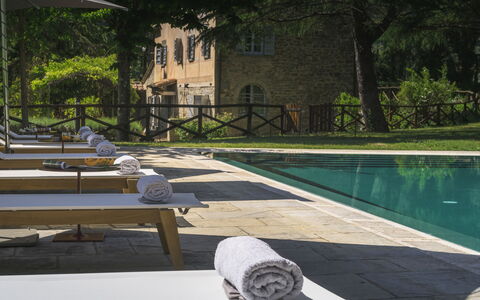 Villa Metelliano 10: Piscine, Mobilier De Jardin, Meubles, Composite, Recours, Balancelle, Chaise, Biens, Dalle, Eco Hôtel
