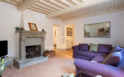 Anticiana 8: Meubles, Design Intérieur, Sol, Mur, Canapé, Sol, Bois, Salon, Pièce, Plafond