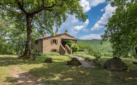 Casale Mollina 6+2: Arbre, Herbe, Paysage Naturel, Maison, Chalet, Arbuste, Zone Rurale, Domicile, Biens