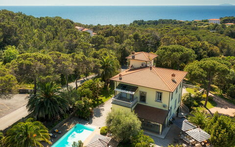 Villa Gaius 8+2: Bleu, Zone Résidentielle, Recours, Eco Hôtel, Biens, Balcon, Piscine, Tropiques, Villa