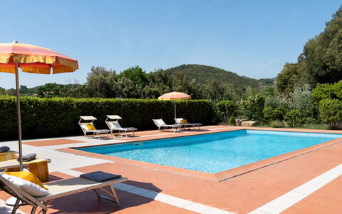 Villa Nikka 6: Piscine, Recours, Eco Hôtel, Hacienda, Hôtel, Balancelle, Thermes, Villa