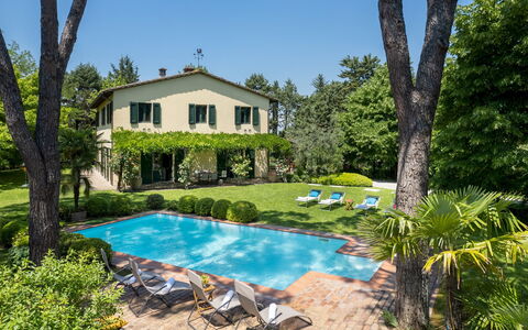 Villa Paesante 8: Arbuste, Domicile, Piscine, Biens, Jardin, Chalet, Villa, Ferme, Pelouse, Recours