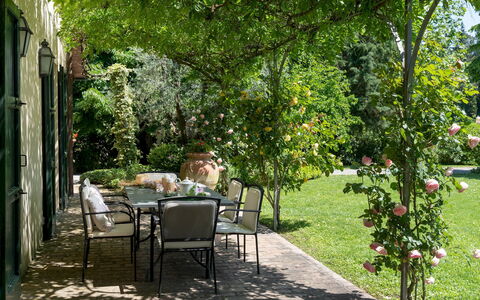 Villa Paesante 8: Vert, Feuille, Végétation, Jardin, Arbuste, Communauté Des Plantes, Ombre, Printemps, Couverture De Sol