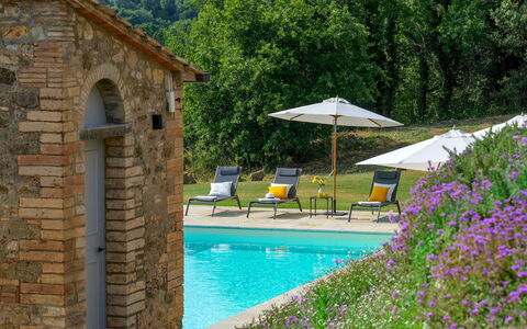 Villa Il Pozzo 14: Arbuste, Piscine, Biens, Jardin, Chalet, Hacienda, Ferme, Aménagement Paysager, Mobilier De Jardin, Villa