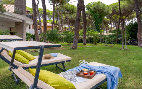 La Villa in Pineta 10: Meubles, Mobilier De Jardin, Ombre, Jardin, Loisir, Pelouse, Chaise, Balancelle, Tableau De Plein Air, Cour
