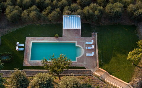 Villa Binetti 7: Piscine, Recours, Thermes, Jardin, Caractéristique De L'Eau, Biens, Pelouse, Aménagement Paysager, Miroir D'Eau, Arrière-Cour