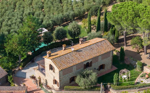 Villa Binetti 7: Mur, Architecture, Façade, Arbuste, Maison, Domicile, Brique, Biens, Jardin, Brickwork