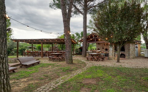 Podere Giardino 16+2: Arbre, Bois, Meubles, Ombre, Tableau De Plein Air, Mobilier De Jardin, Tronc, Table De Pique-Nique, Banc, Structure En Plein Air
