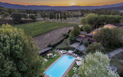 Podere Giardino 16+2: Piscine, Recours, Biens, Hacienda, Eco Hôtel, Jardin, Arrière-Cour, Cour, Villa, Aménagement Paysager