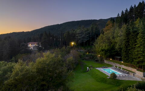 Villa la Rassinata 8: Paysage, Forêt, Station De Montagne, Mélèze, Jungle, Aménagement Paysager, Conifères Tropicale Et Subtropicale Forêts, À Feuilles Persistantes