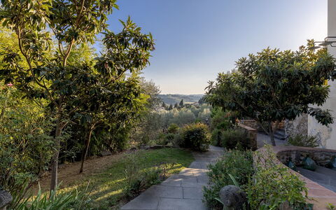 Villa Treggiaia 12+2: Végétation, Arbuste, Paysage, Communauté Des Plantes, Jardin, Lumière Du Soleil, Aménagement Paysager, Jardin Botanique, Chaparral