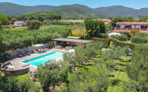 Villa Castiglione 9: Recours, Piscine, Eco Hôtel, Jardin, Hacienda, Biens, Ferme, Aménagement Paysager, Ombre, Villa