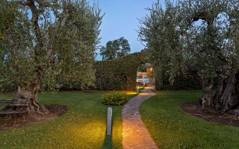 Villa Castiglione 9: Feuille, Herbe, La Nature, Branche, Arbuste, Jardin, Paysage, Tronc, Pelouse, Éclairage Paysager