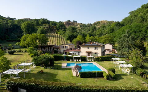 Valleverde 28+2: Aliments, Plantation, Arrière-Cour
