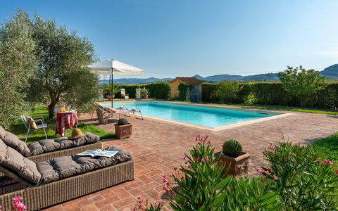 Villa Allodola 12: Arbuste, Pot De Fleur, Domicile, Jardin, Hacienda, Plante D'Appartement, Piscine, Biens, Ferme, Eco Hôtel