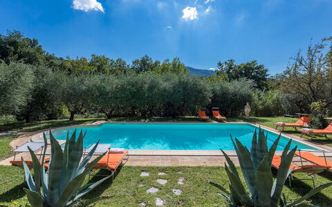 Casa Pippin 8: Piscine, Hacienda, Recours, Jardin, Biens, Eco Hôtel, Ferme, Aménagement Paysager, Arrière-Cour, Cour