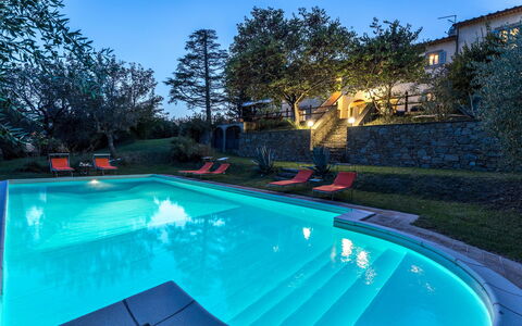 Casa Pippin 8: Piscine, Bleu, Recours, Eco Hôtel, Biens, Hacienda, Jardin, Arrière-Cour, Caractéristique De L'Eau, Aménagement Paysager