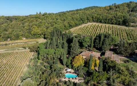 Castellare in Poggio 10: Végétation, Paysage, Zone Rurale, Lot Terre, Plantation, Biens, Village, Jardin, Aménagement Paysager, Eco Hôtel