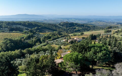 Castellare in Poggio 10: Arbre, Environnement Naturel, Végétation, Colline, Paysage Naturel, Paysage, Montagnes, Écorégion, Communauté Des Plantes, Station De Montagne
