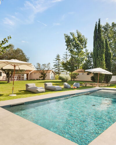 Casale Rondinella 6+2: Arbre, Piscine, Jardin, Lot Terre, Aménagement Paysager, Ombre, Recours, Pelouse, Biens, Eco Hôtel