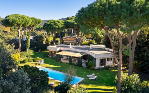 Villa Puntala 10: Zone Résidentielle, Domicile, Recours, Biens, Piscine, Jardin, Eco Hôtel, Villa, Hacienda, Aménagement Paysager